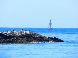 DSCN5269