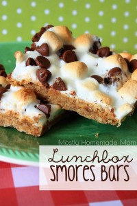 Lunchbox Smores Bars 1