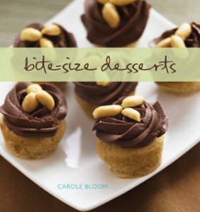 bitesizecover1